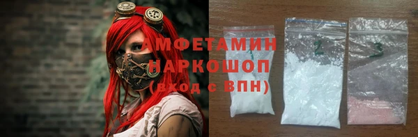 гидра Новодвинск