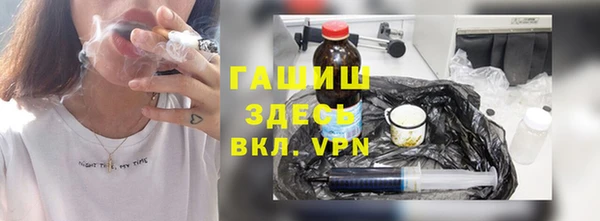 гидра Новодвинск