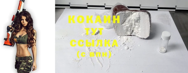 2c-b Губаха