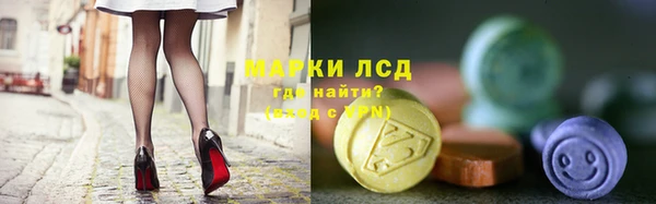 гидра Новодвинск