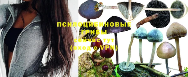 гидра Новодвинск