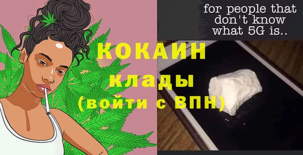 гидра Новодвинск