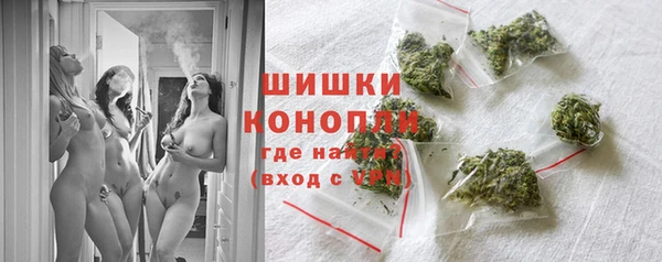 гидра Новодвинск