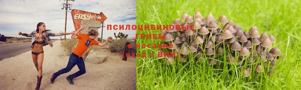 СК Грязи