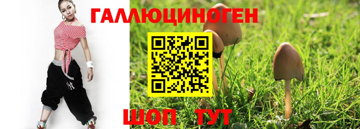 Галлюциногенные грибы Psilocybine cubensis Ирбит