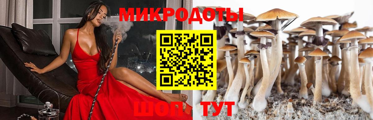 Псилоцибиновые грибы прущие грибы  Галлюциногенные грибы прущие грибы  Вход с VPN  Ирбит 