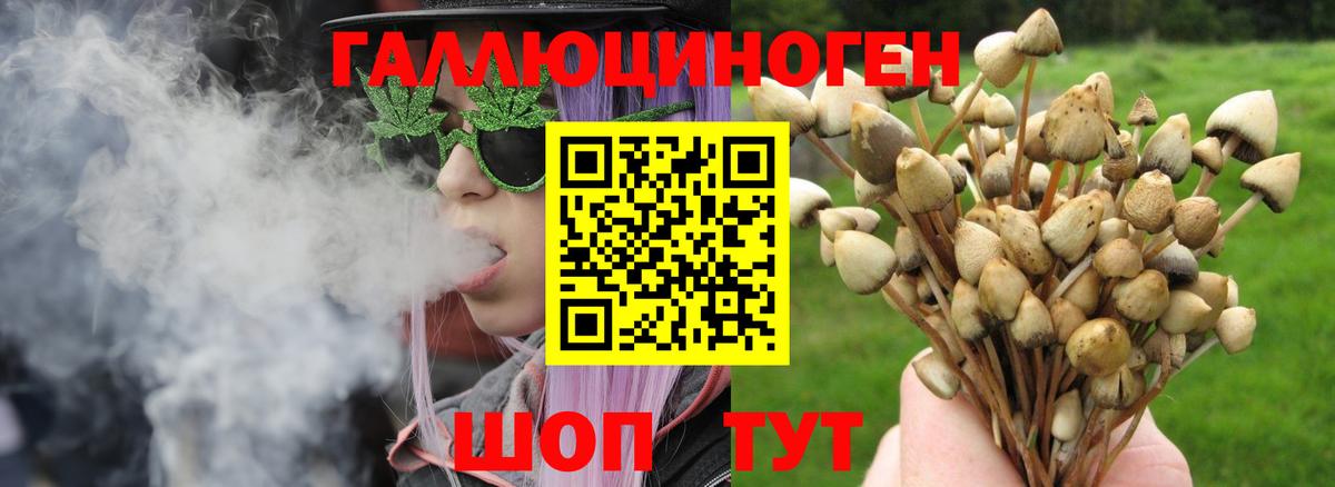 Псилоцибиновые грибы Magic Shrooms  Ирбит 